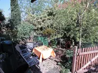 DSC00988.webp