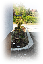 Pflastern am 23.04 (13).webp