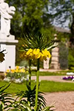 Schloß Belvedere - Weimar 24.4 (24 von 37).webp
