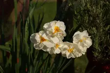 DSC00640.webp