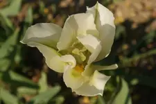 DSC00641.webp
