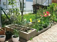 DSCF5302.webp