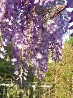 033.webp