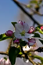 Weimar 24.4.11 (108 von 129).webp