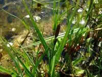 k-DSCF0019.webp
