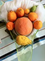 der trauriege  neuanfang  citrus 2011 057.webp
