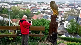 Bad Kreuznach (50 von 72).webp