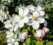 DSC01081.webp