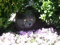 DSCF5304.webp