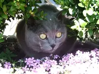 DSCF5305.webp