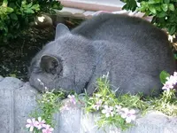 DSCF5306.webp