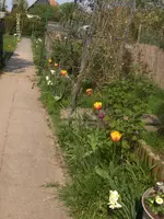 HPIM6346.webp