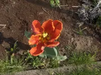 HPIM6349.webp
