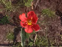 HPIM6350.webp