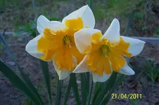 100_2785.webp