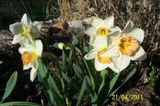100_2789.webp