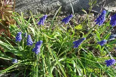 100_2787.webp