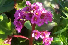 100_2792.webp