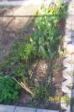 100_2793.webp