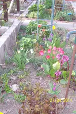 100_2794.webp