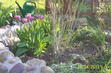 100_2795.webp
