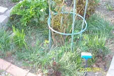 100_2797.webp