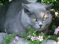 DSCF5307.webp