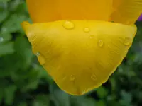 Wassertropfen119.webp