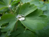 Wassertropfen120.webp