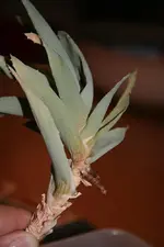 _MG_3045.webp _MG_3045.webp