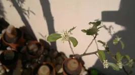 22042011036.webp