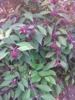 Bild011.webp