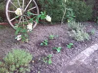 Bild006.webp