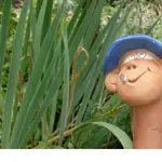 Garten Sommer 2008 020.webp