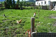 K800_100_0796.webp