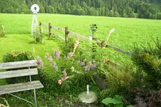 K800_100_0806.webp