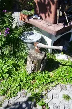 K800_100_0788.webp