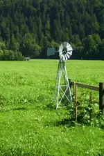K800_100_0785.webp