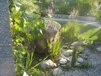 Kiesmulde_klein 7289.webp
