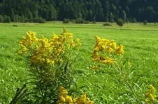 K800_100_0759.webp