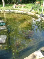 2008_0922Teich0006.webp