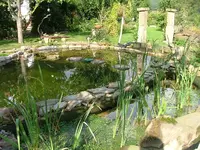 2008_0922Teich0005.webp