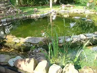 2008_0922Teich0004.webp