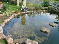 2008_0922Teich0002.webp