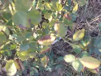 DSC02374.webp