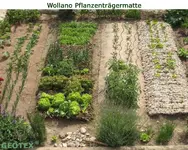 wgw40_p_beete2.webp