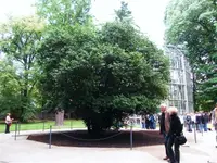 DSCF3270.webp