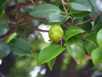 DSCF3271.webp