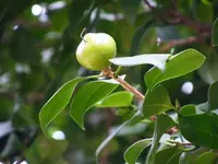 DSCF3274.webp