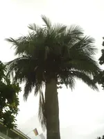 PIC00101.webp